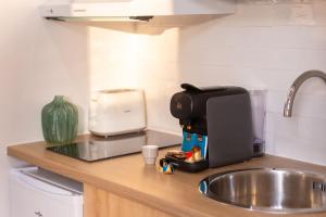 Luxury studio Maisons-Alfort with garden