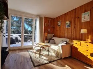 Appartement cosy 1 chambre, rénové avec terrasse exposée Sud - 布齐耶比利牛斯2000