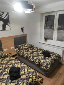 Apartamenty Zorza