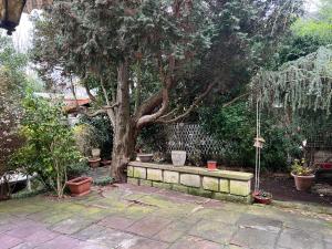 Appartements Charmant Cocon en duplex avec jardin : photos des chambres