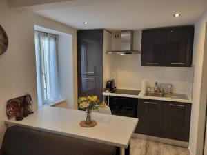 Appartement avec terrasse entre vignes, balades, Alsace