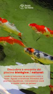 Estúdio em Contêiner no Bosque