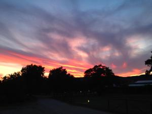 Agriturismo Li Scopi img16