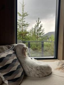 Moderne hytte ved sjøen med badstue