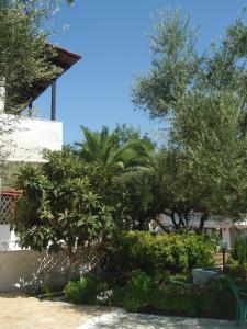 Billy's Amoudi Apartments Zakynthos Greece