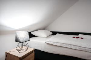 Apartament Dąbrówka w Winiarni