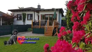 Haus Ceddy Diemelsee - Sudeck