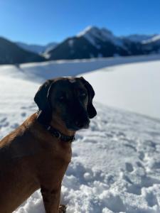 Appartement Wimreiter