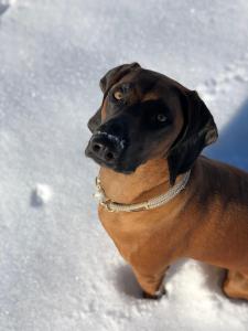 Appartement Wimreiter