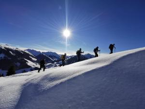 Appartement Wimreiter