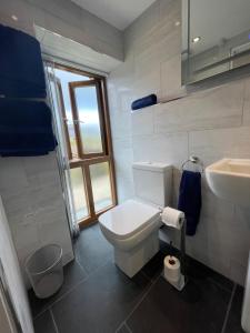 Robins nest, near Sennen Cove, 14 Beaches, Minack