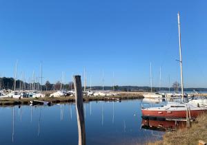 Villas La Villa Capucine : photos des chambres