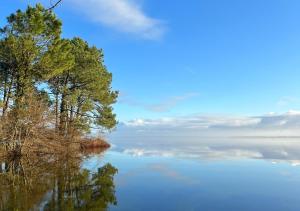 Villas La Villa Capucine : photos des chambres