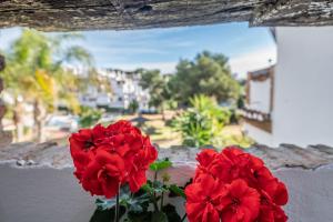 calahonda cozy corner