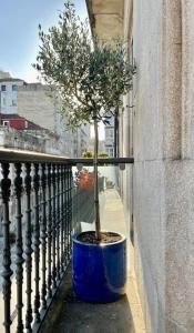 KPT homes Progreso apartment