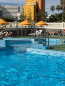 Olympia Palmalicious Apartment