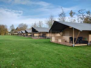 Camping Alkenhaer Appelscha Trekkerstent Safaritent