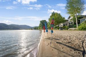 Oasis Cottage- Waterfront experience without the expensive fee!
