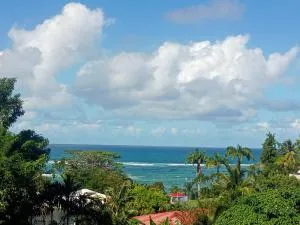 Studio MESANGE TARTANE - La Trinité