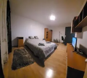 Studio BDN - Singeorgiu de Mures