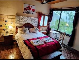 POSADITA LOS ALAMOS estamos en San Isidro 8km pasando Iruya solo se hace a pie TURISMO AVENTURA.