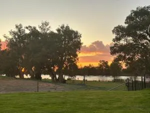 Pelicans on the Darling - Robinvale 