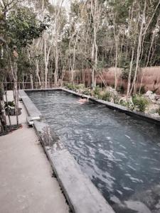 Hermosa Casa con piscina privada