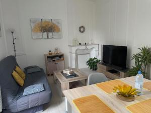 Charmant appartement T2 plein centre ville