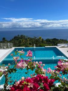 Oceano Con Vista Mountain Resort