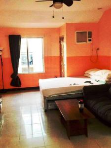 Haus of Emerald Studio - Urban Deca Tipolo by Kevin