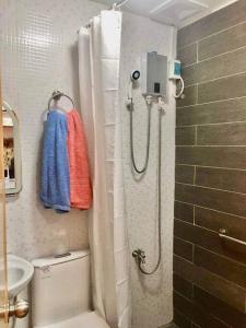 Haus of Emerald Studio - Urban Deca Tipolo by Kevin