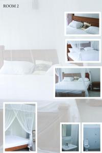 Venivila House