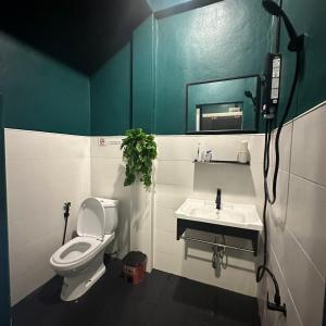 Scubadoo house and Diving