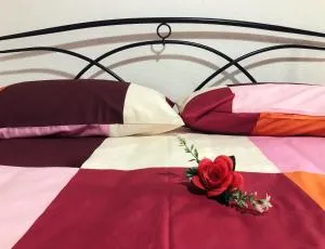 Il Rifugio delle Rose - 龙奇廖内