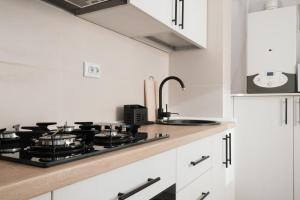 Konstanzer Nicolina12 - 1 camera, bucaterie, aer conditionat, masina de spalat