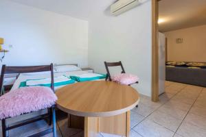 Apartment in Dramalj 45033