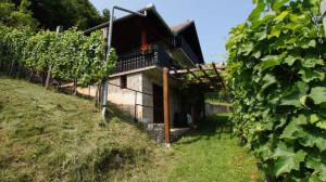 Holiday home in Semic - Kranjska (Krain) 26078