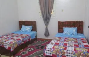 Seashell - 库塞尔