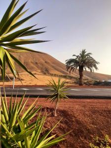 Costa Teguise II