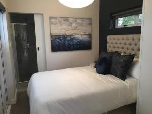 Lovely studio apartment in Pinelands, Cape Town - Bridgetown