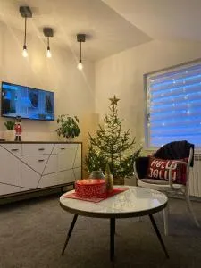 Apartmani Kiki - Sokolac