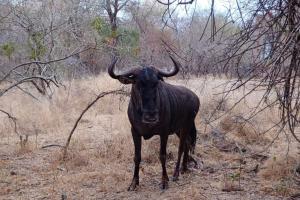 Nag-Apie Vakansiehuis