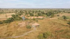 Trees N Tigers, Tadoba - Khātora