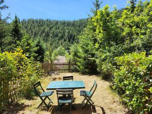 Appartements Les Marmottes : Jardin, proche centre, cheminee ! : photos des chambres