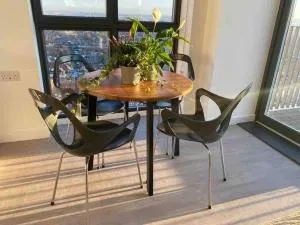 East London Penthouse with views - 依尔福