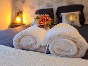 Maisons de vacances Gite Spa 