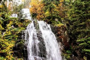 Maisons de vacances Gite Spa 