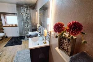 Maisons de vacances Gite Spa 