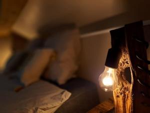 Maisons de vacances Gite Spa 