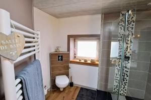 Maisons de vacances Gite Spa 